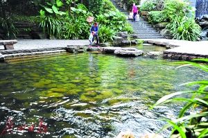 2017年廣州市兩會 水務局預算劍指水污染治理，高效著力環保技術開發服務